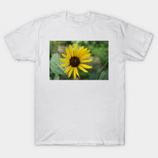 81515 sunflower T-Shirt